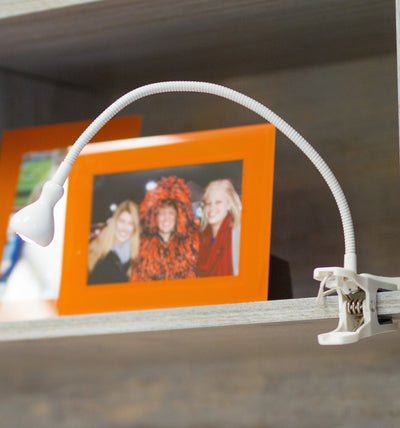 Clip on Light